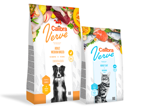 Verve